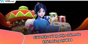 Tìm hiểu về dịch vụ CSKH tại WW88